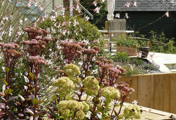 A productive terraced garden in Devon