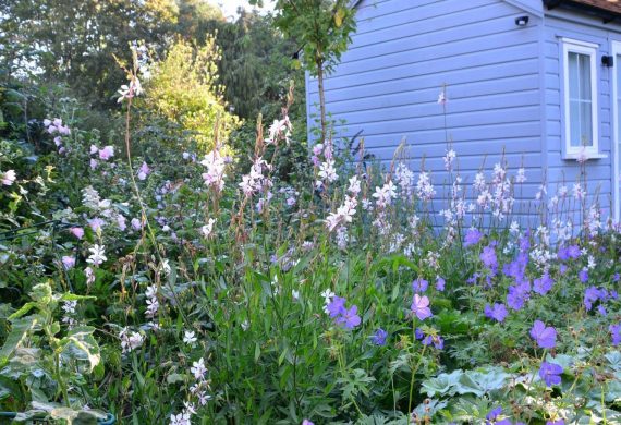 A child-friendly informal garden in Dorset